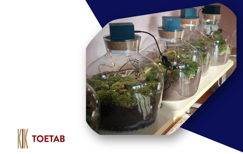 IoT terraarium