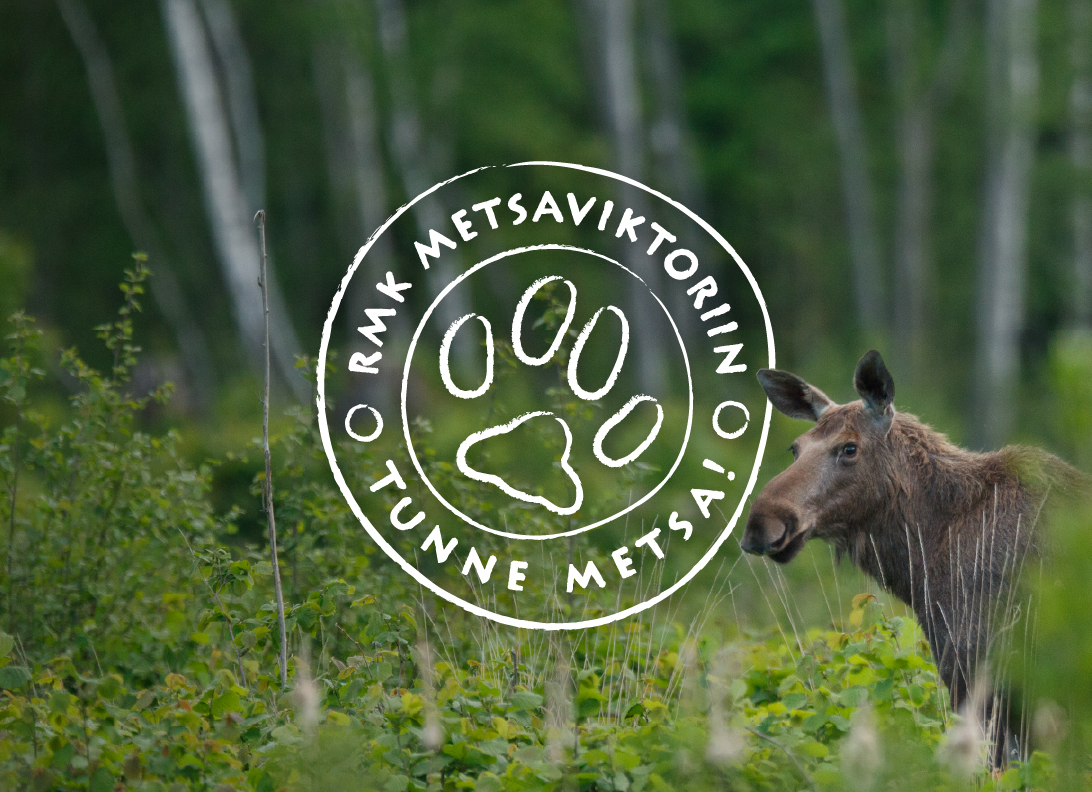 RMK metsaviktoriin 2025