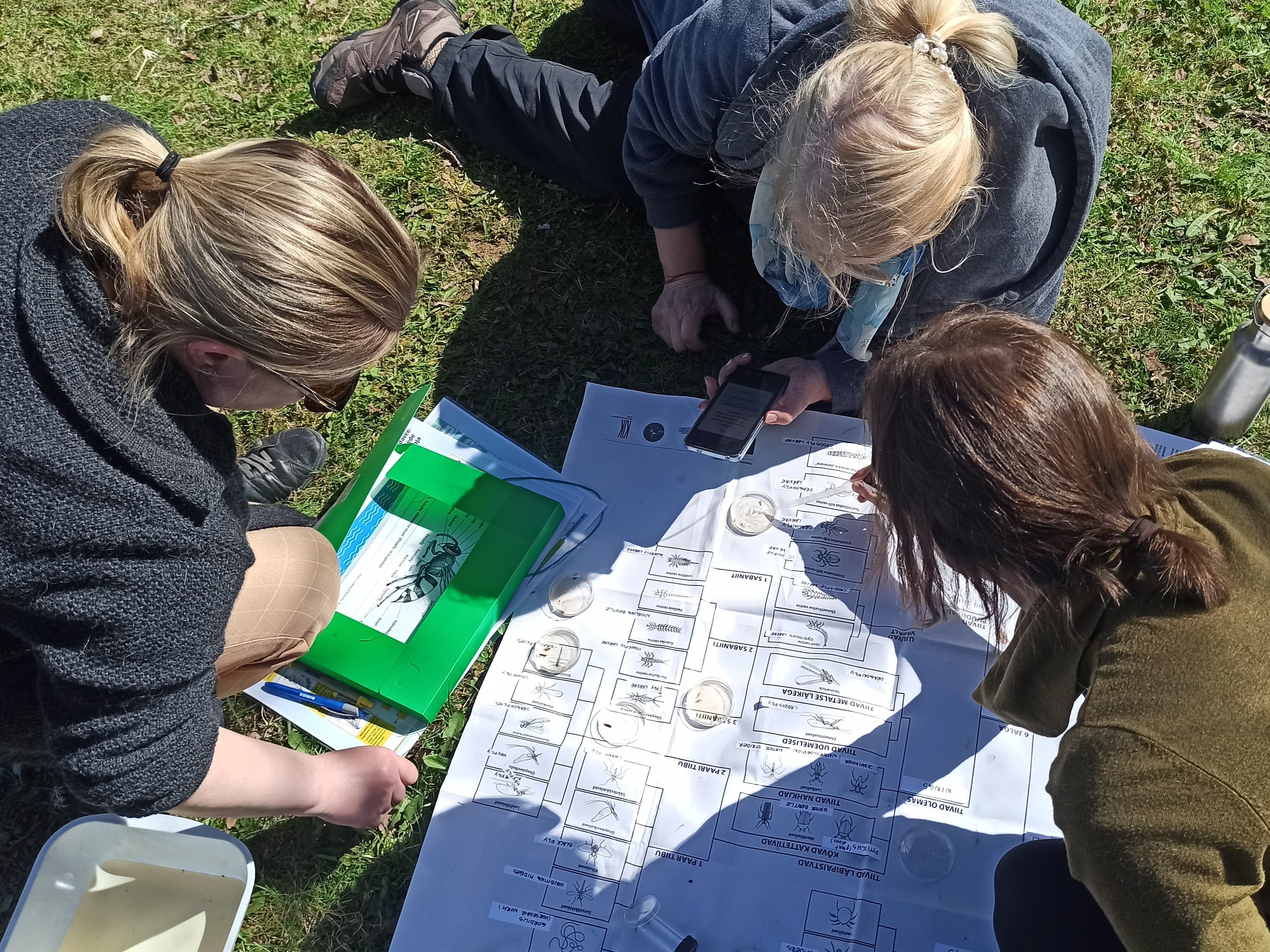 harrastusteaduste kursus 2