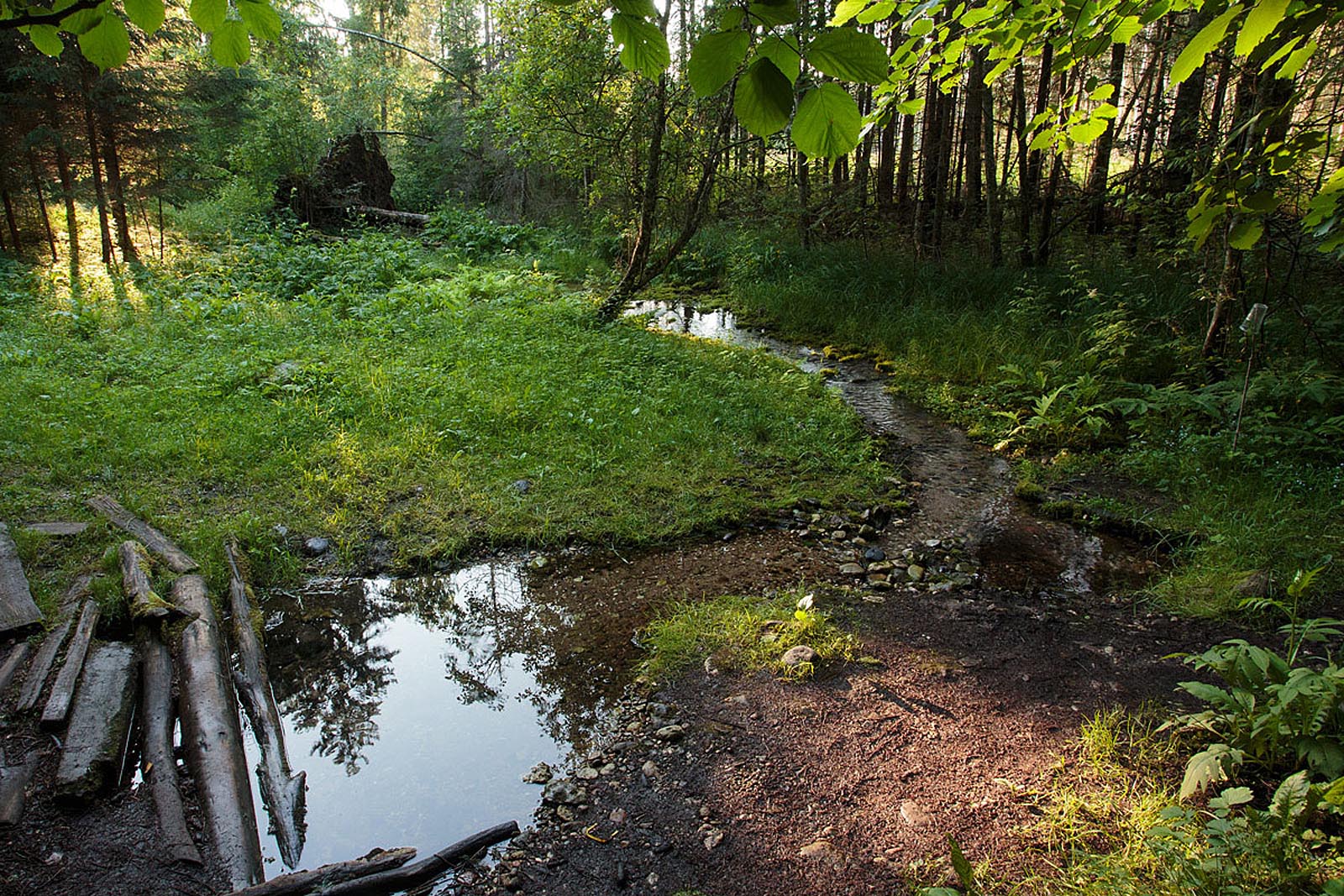 Allikas Foto Arne Ader