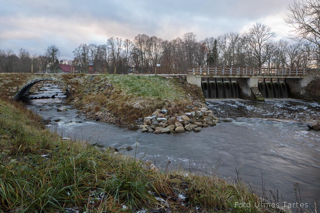 Kalapääs Urmas Tartes