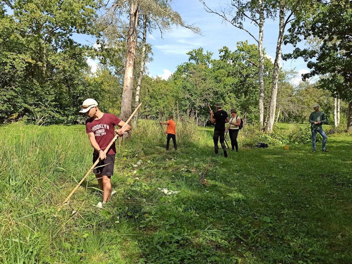 Noored poisid niidavad vikatiga suvisel niidul heina
