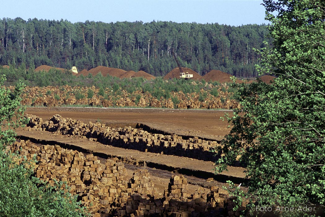 Plokkturvas aianduse tarbeks Arne Ader