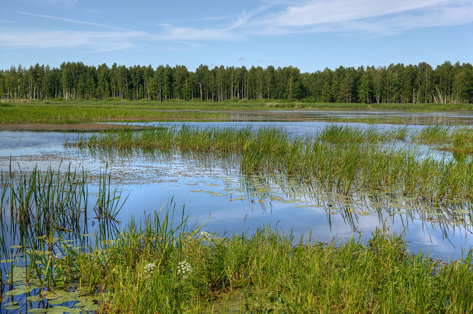 Rohketoiteline järv Foto Arne Ader