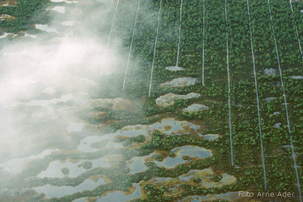 Soode kuivendamine Arne Ader