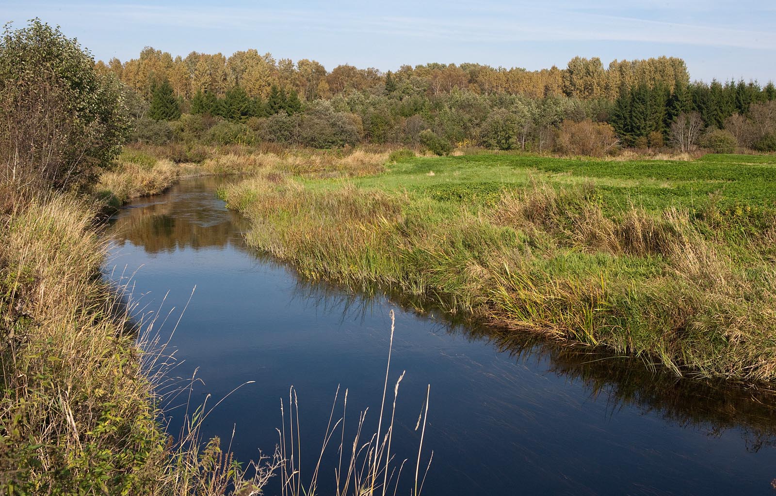 Tasandikujõgi Foto Arne Ader