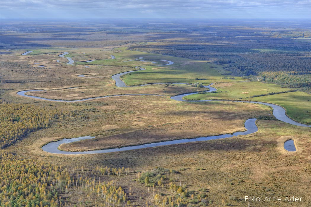 Vanajõgi Foto Arne Ader