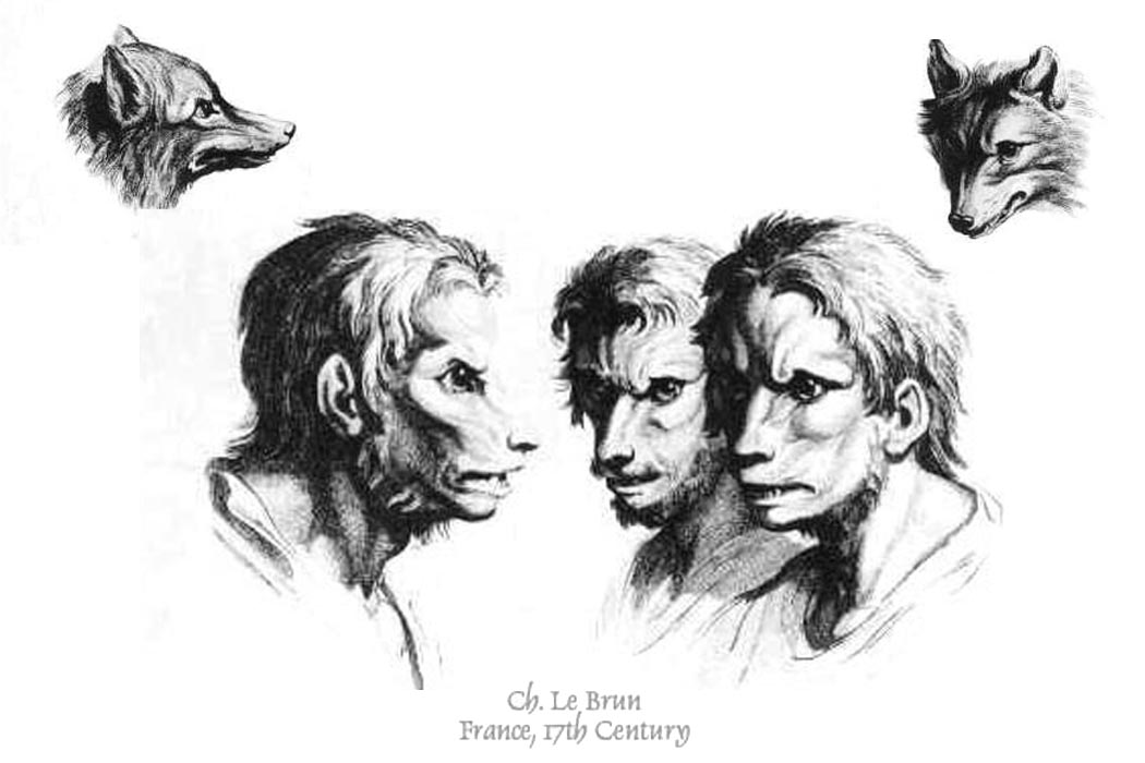 Libahundi näojooned