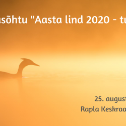 Loodusõhtu "Aasta lind 2020 - tuttpütt" 25. augustil Raplas