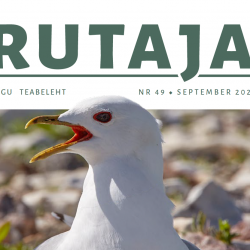 Teabelehe Tiirutaja esikaane vaade, üleval tekst "Tiirutaja", all foto kalakajakast.