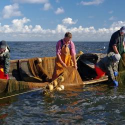 konkurss Kalandus fotosilmas