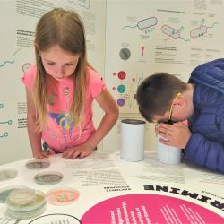 lapsed bakterinäitusel