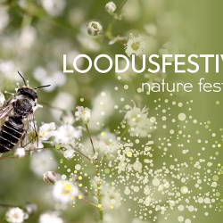 Valgete vikeste õite kohal on putukas, pildi paremas servas valge tekst rohelisel taustal