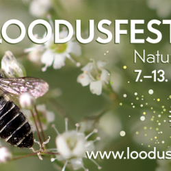 loodusfestival