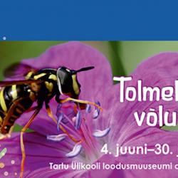 Tolmeldamise võlu ja valu