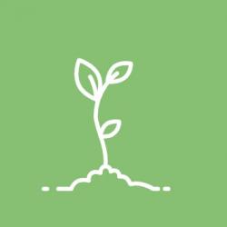 Tallinna rahvaülikooli loengusari logo