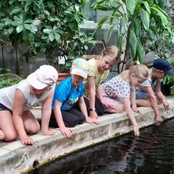 Tartu Ülikooli botaanikaaed lastelaager Foto: Margit Hirv