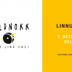 Pildi vasakul pool on valgel taustal kuldnoka pea, paremal pool kollasel taustal tekstid