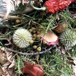 Jõulupärg looduslikest materjalidest. Foto: Tuuli Luiga