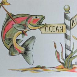 joonistus lõhest, kes valib mere ja jõe suuna vahel