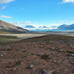 Teravmäed Foto: Tormi Tuuling