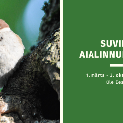 Vasakul foto põldvarblasest, kes seisab puutüvel, paremal pool tekst rohelisel taustal