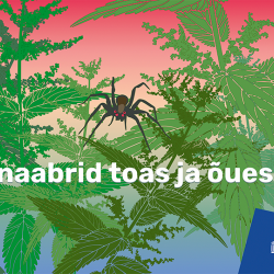 Loodusfestivali visuaal