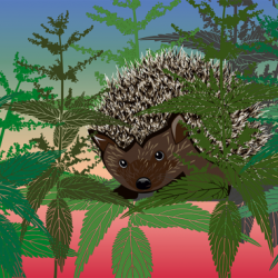 fotokonkurss Metsik linn