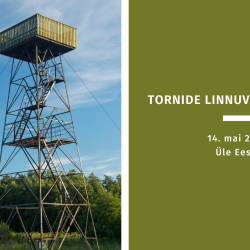 Vasakul pool on foto vaatetornist, paremal pool rohelisel taustal hele tekst.