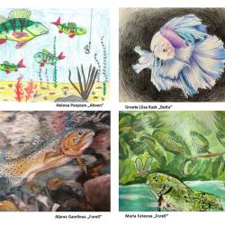 neli laste joonistust kaladest