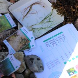 loodusvaatlute juhendmaterjalid