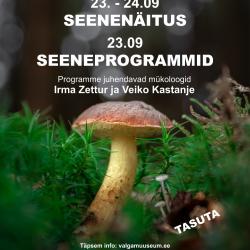 Seenepäevad Valga muuseumis