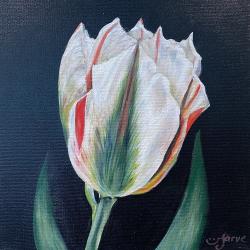 Ülle Järve näitus Õis igasse päeva