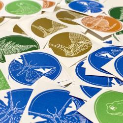 LMBA piletid Foto autor Silvia Luik.