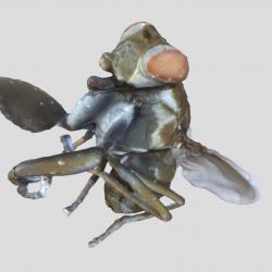 Foto autor Tartu Ülikooli loodusmuuseum ja botaanikaaed