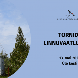 Vasakul pool on foto tornist, millel on all metallkonstruktsioon ja üleval roheliste seintega vaateplatvorm. Paremal pool on sinisel taustal tekst.