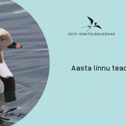 Vasakul pool on foto vees ujuvast isasest aulist, paremal pool sinisel taustal logo ja tekst