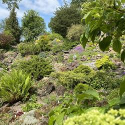 Tartu Ülikooli botaanikaaia alpinaarium. Foto autor Silvia Luik
