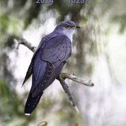 Loodusemehe kalender 2024