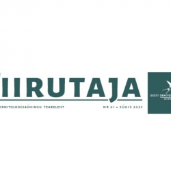 Teabelehe Tiirutaja nr 61 päis