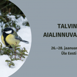 Vasakul pool on ümaraks lõigatud foto lumisel maapinnal seisvast rasvatihasest. Paremal pool on hallil taustal tekstid.