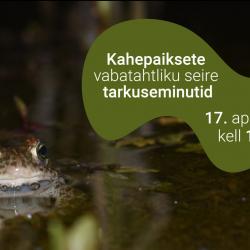 kahepaiksete vabatahtlik seire