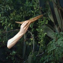 näituse Looduse loor reklaam