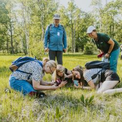 Inimesed pildistavad suvisel päikeselisel puisniidul telefonidega taime