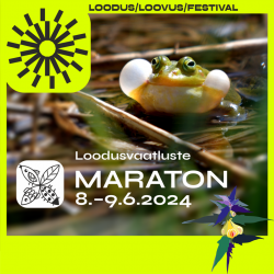 roheline konn loodusvaatluste maratoni plakatil