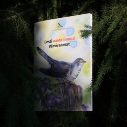 Kuuseokste taustal on värviraamat