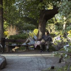 Tartu Ülikooli botaanikaaed suvel