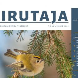 Teabelehe Tiirutaja nr 65 esikaane päis ja sisukord