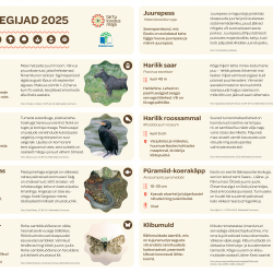 aasta tegijad 2025