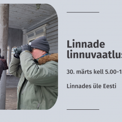 Kaks meest vaatavad binoklitega linde.